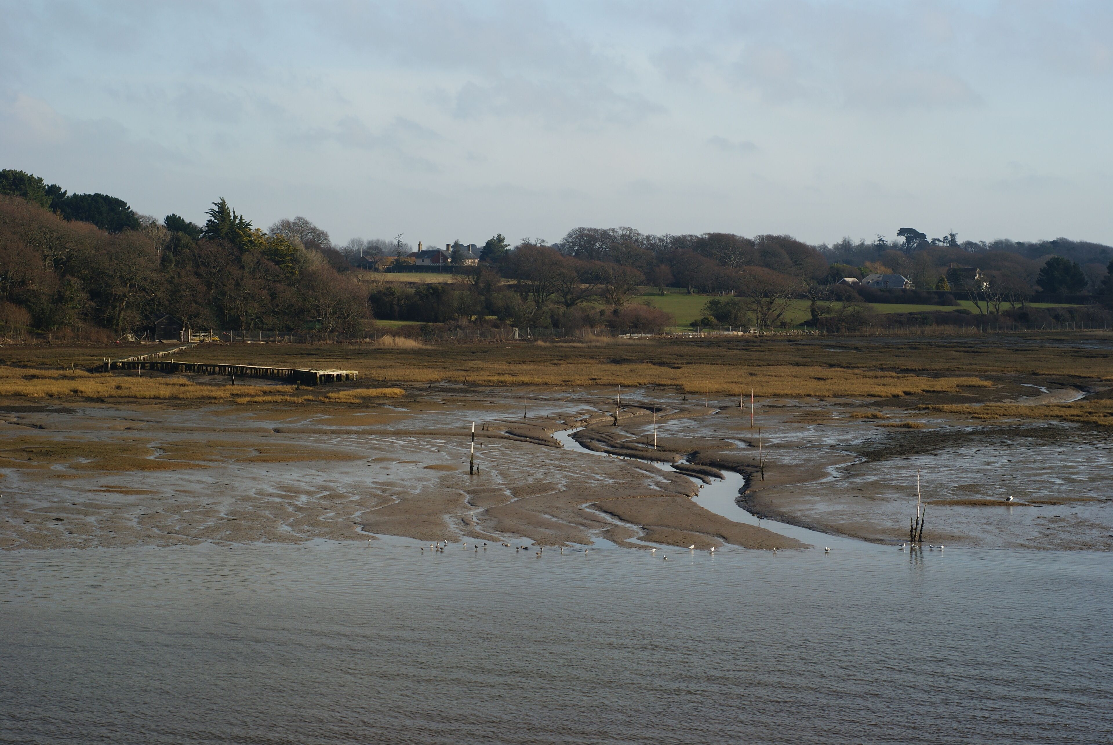 Salt-marsh at Horn Reach, Lymington Harbour The salt-marsh, seen just beyond the mudflats, is exposed at low tide.