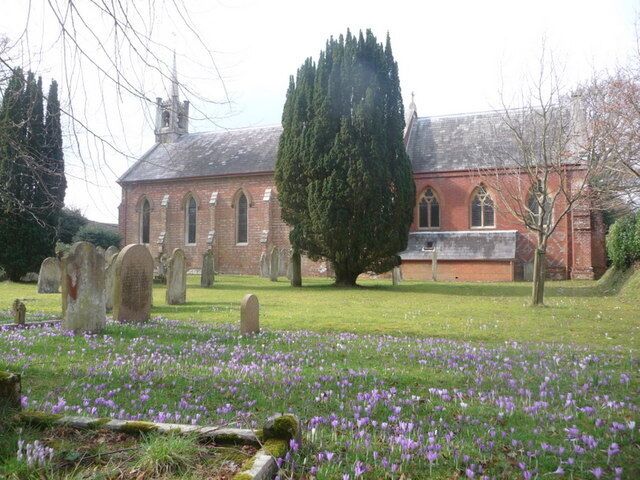 Sway: churchyard crocuses A colourful display in the grounds of the 644442.