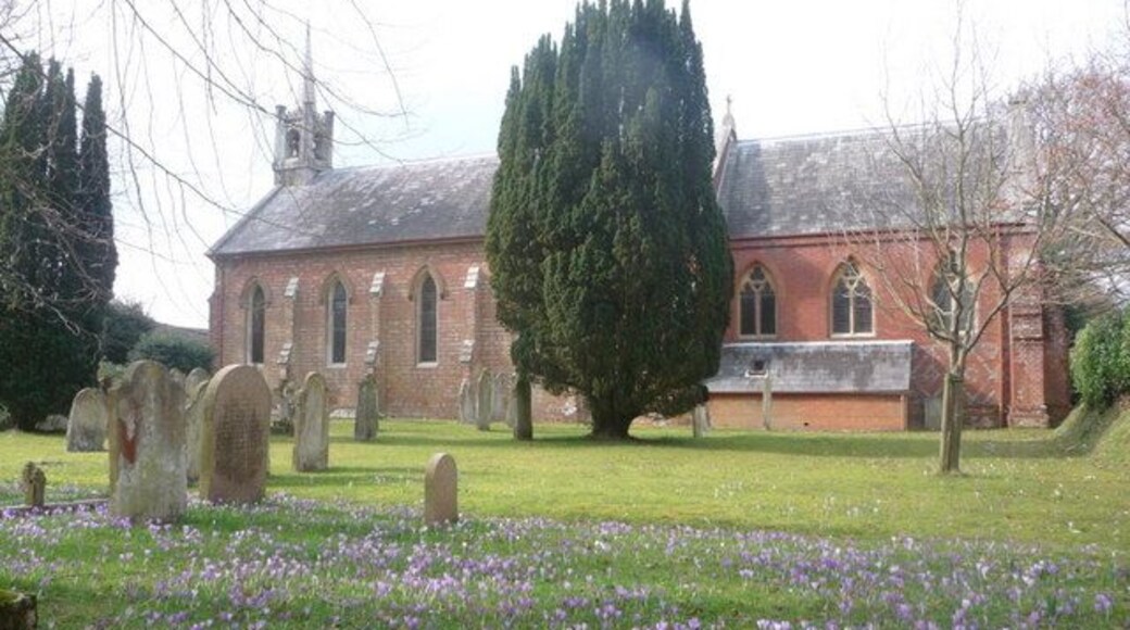Sway: churchyard crocuses A colourful display in the grounds of the 644442.