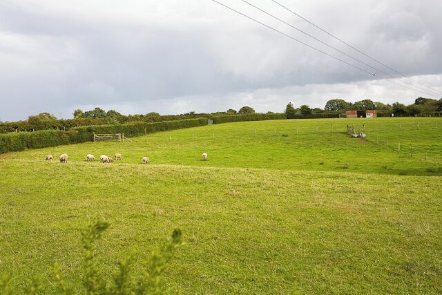 Fields at Durnstown Pitmore Lane runs in the hedges.