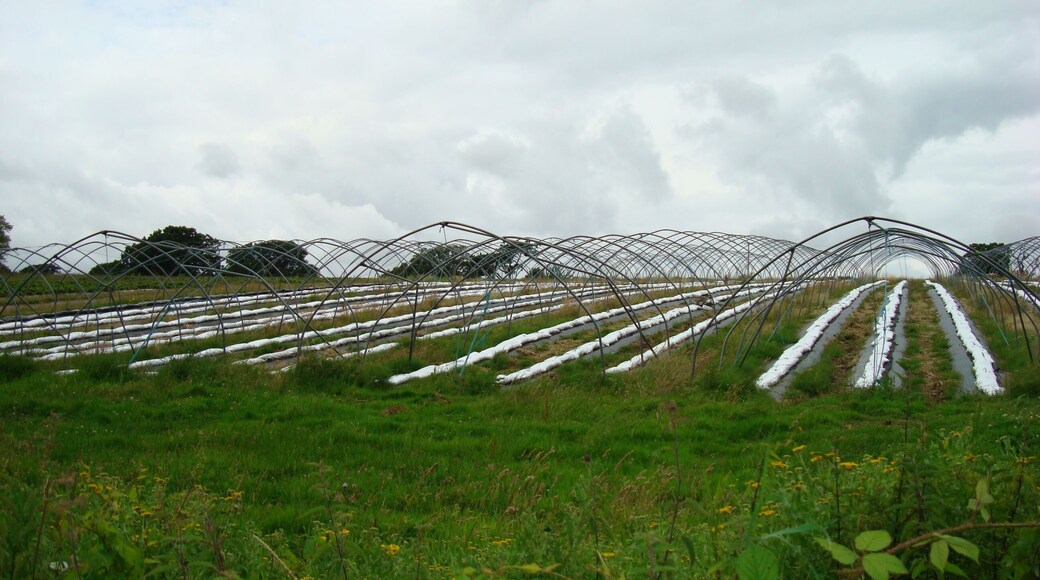 Field by Elmers Court and Spa