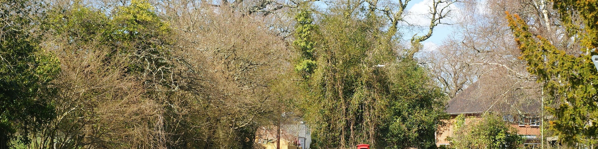 Royden Lane, Boldre, Hampshire The view from the Red Lion public house.