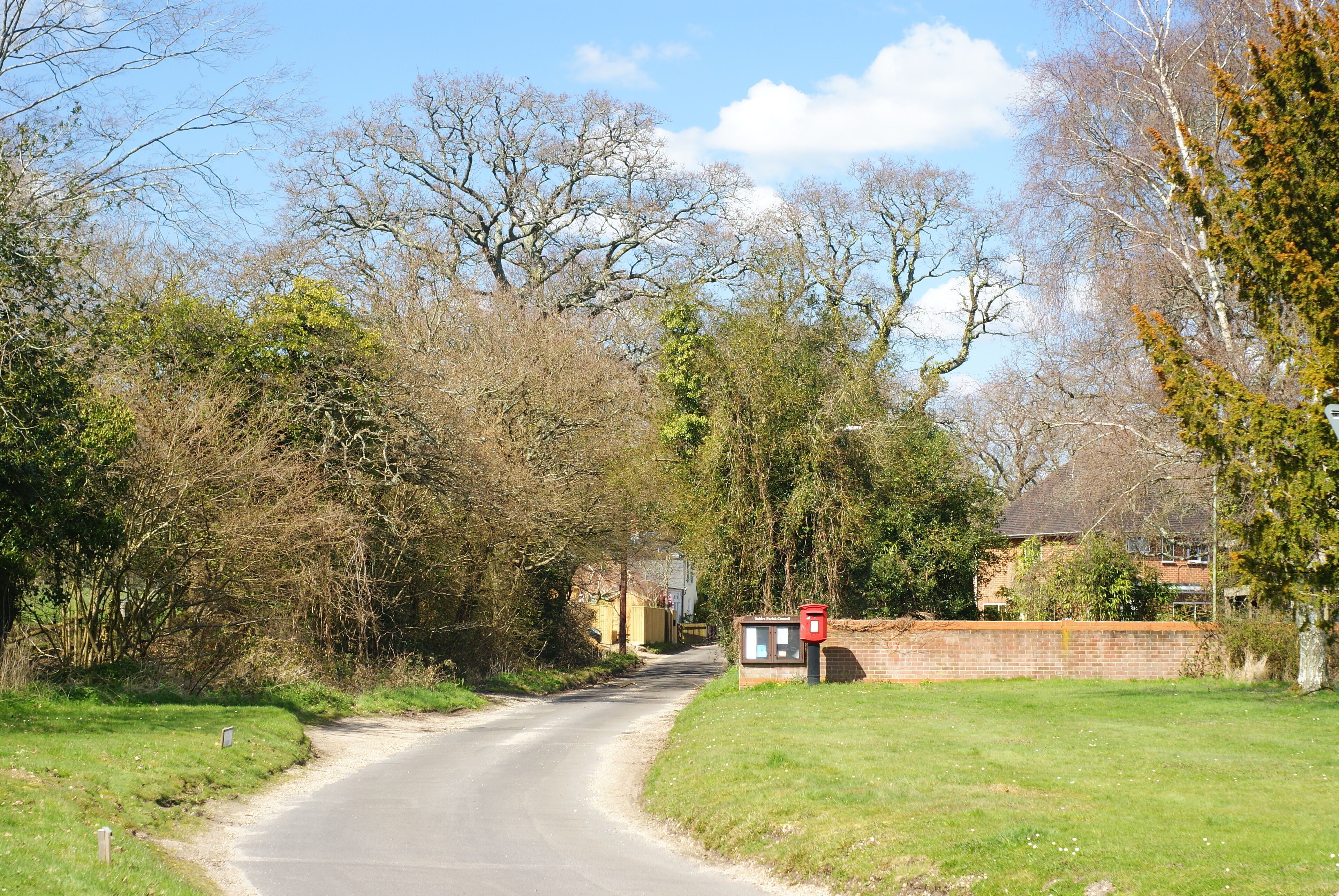 A rural road with a mailbox on the right, surrounded by trees and a brick wall.