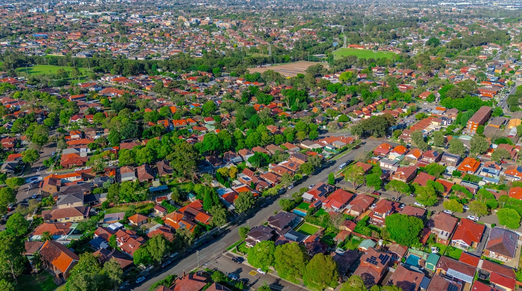 Eine Vogelperspektive eines dicht bebauten Wohngebiets mit vielen Häusern, Straßen und Grünflächen.