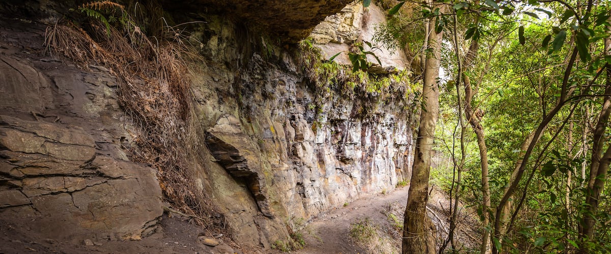 A forested trail with a rocky overhang and dense foliage.