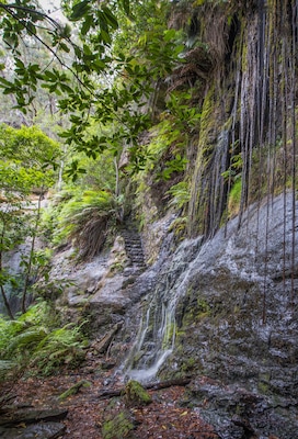 Fairy Bower Falls, Bundanoon, Australia