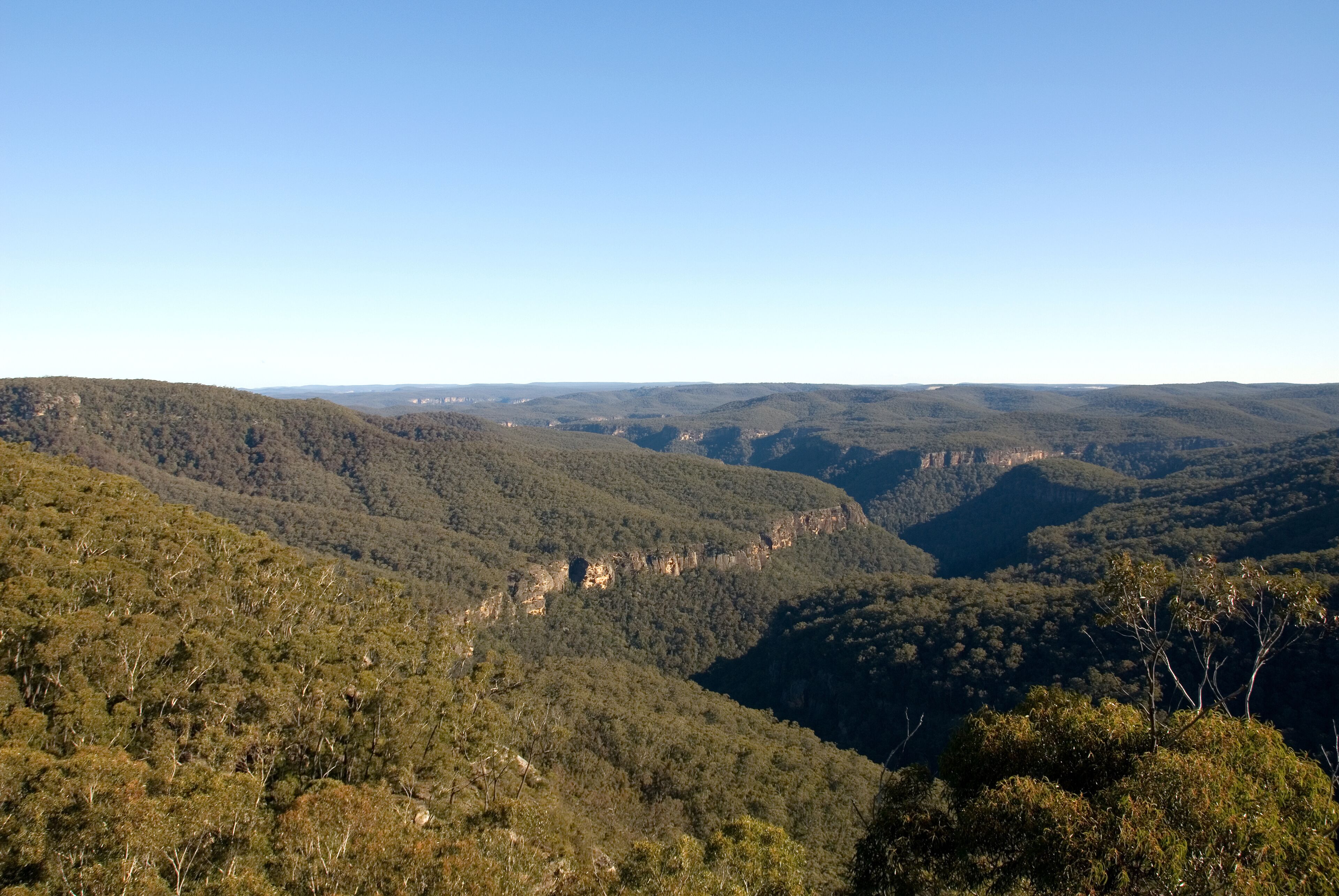Bundanoon Gully