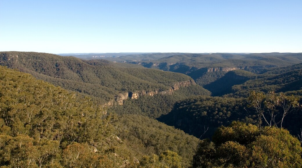 Bundanoon Gully