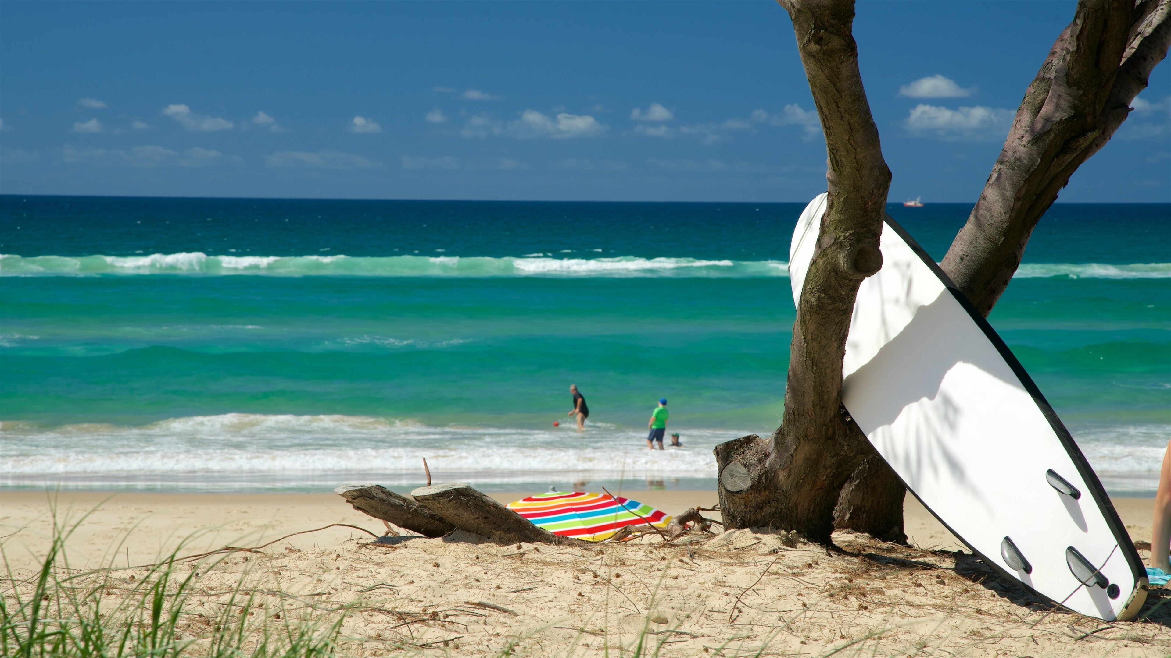A beach with a surfboard leaning against a tree, a colorful striped beach umbrella, and the ocean in the background.