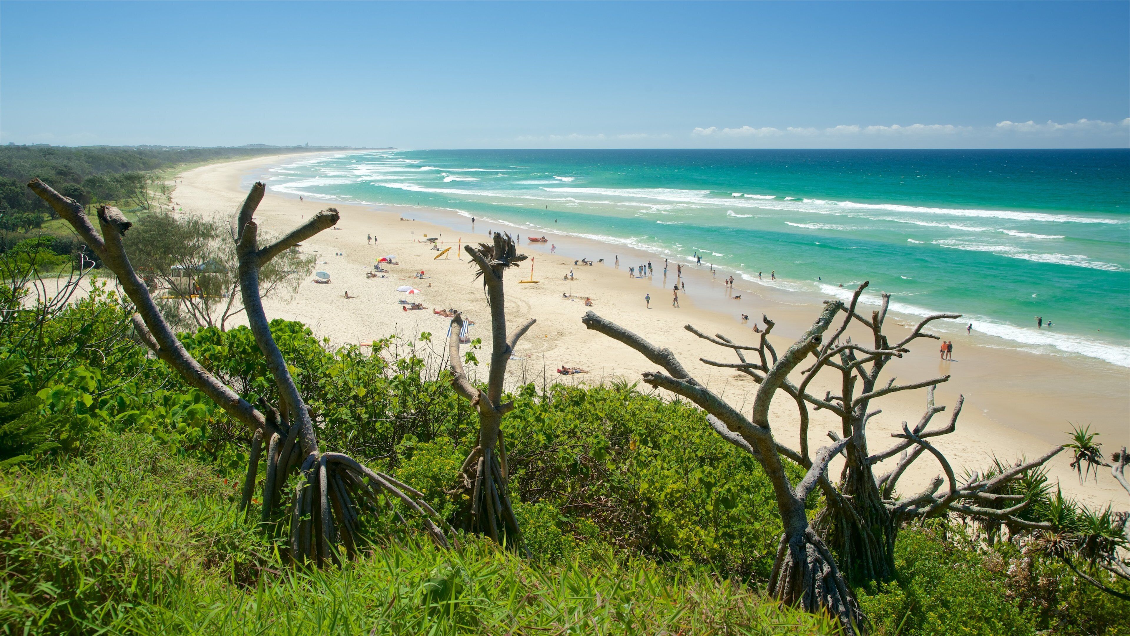 Ein Strand mit klarem türkisblauem Wasser, sandigem Ufer und üppigem Grün im Vordergrund.