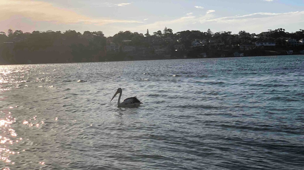 Beautiful lonely shallow beach with a lonely bird