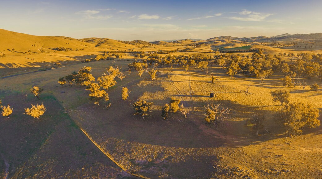Aerial panoramic landscape of scenic hills, pastures, and trees at sunset with long shadows and sun flare