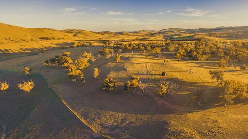 Aerial panoramic landscape of scenic hills, pastures, and trees at sunset with long shadows and sun flare
