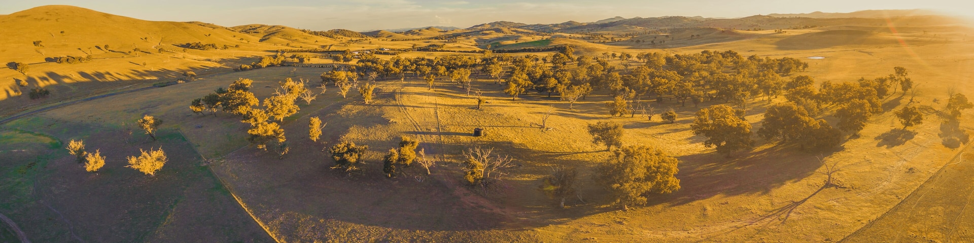 Aerial panoramic landscape of scenic hills, pastures, and trees at sunset with long shadows and sun flare
