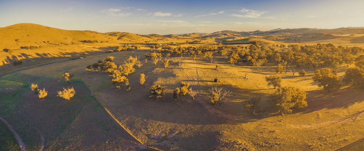 A vast, undulating landscape with rolling hills and scattered trees.