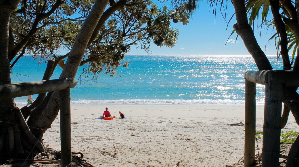 Kingscliff showing a beach and general coastal views
