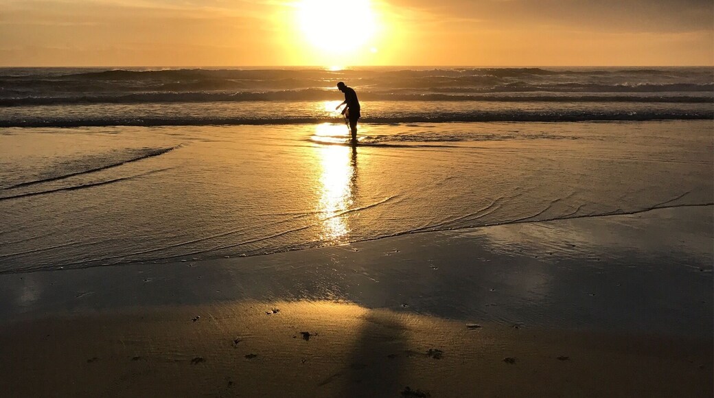 Daybreak - a fisherman digs for bait (pipis) on Salt Beach. Vongole #pipis #daybreak #vongole #salt #kingscliff #lifeatexpedia #BeachBound