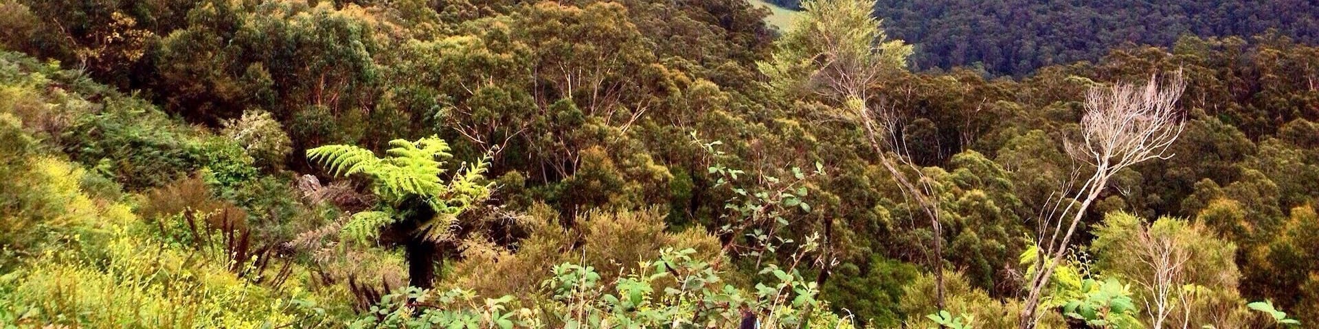 View over the Blue Mountains in NSW, Australia. #NationalPark #Mountains #Australia #Sydney