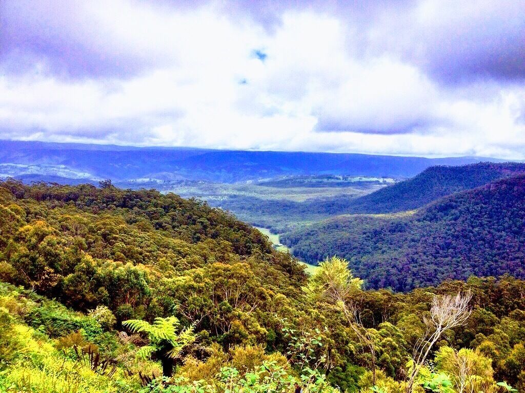 View of the Blue Mountains, New South Wales Australia 