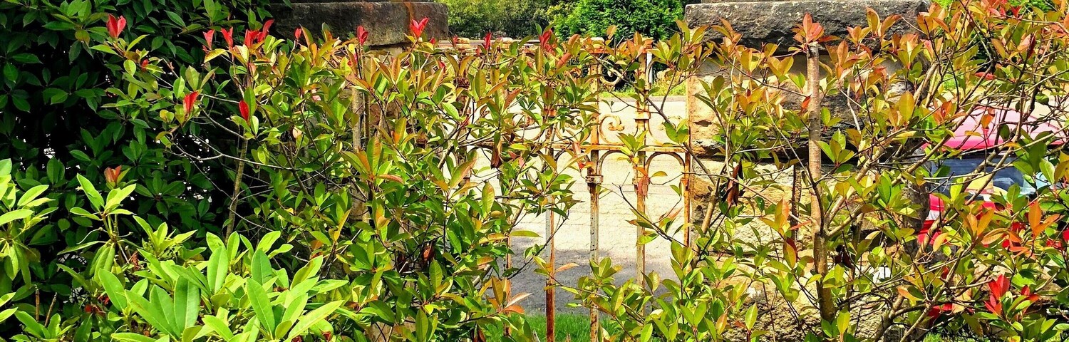 Lovely gate out the front of this iconic hotel