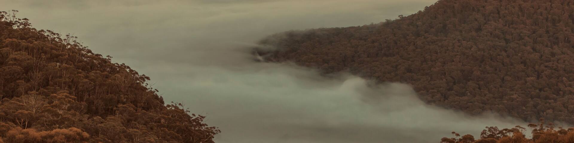 Fog in the Megalong Valley in The Blue Mountains in Australia