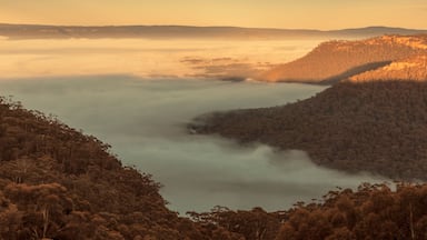 Fog in the Megalong Valley in The Blue Mountains in Australia