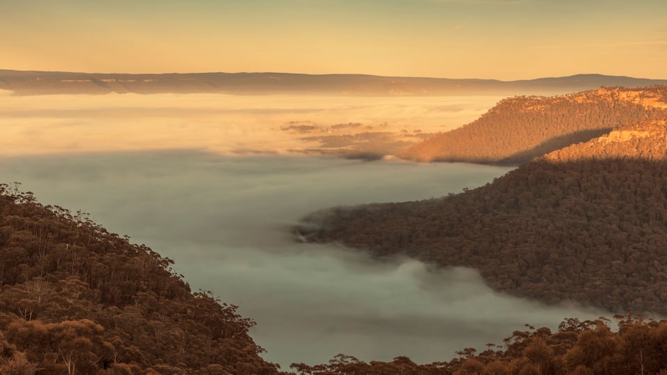 A valley with dense forest, mist-covered terrain, and a distant mountain range.