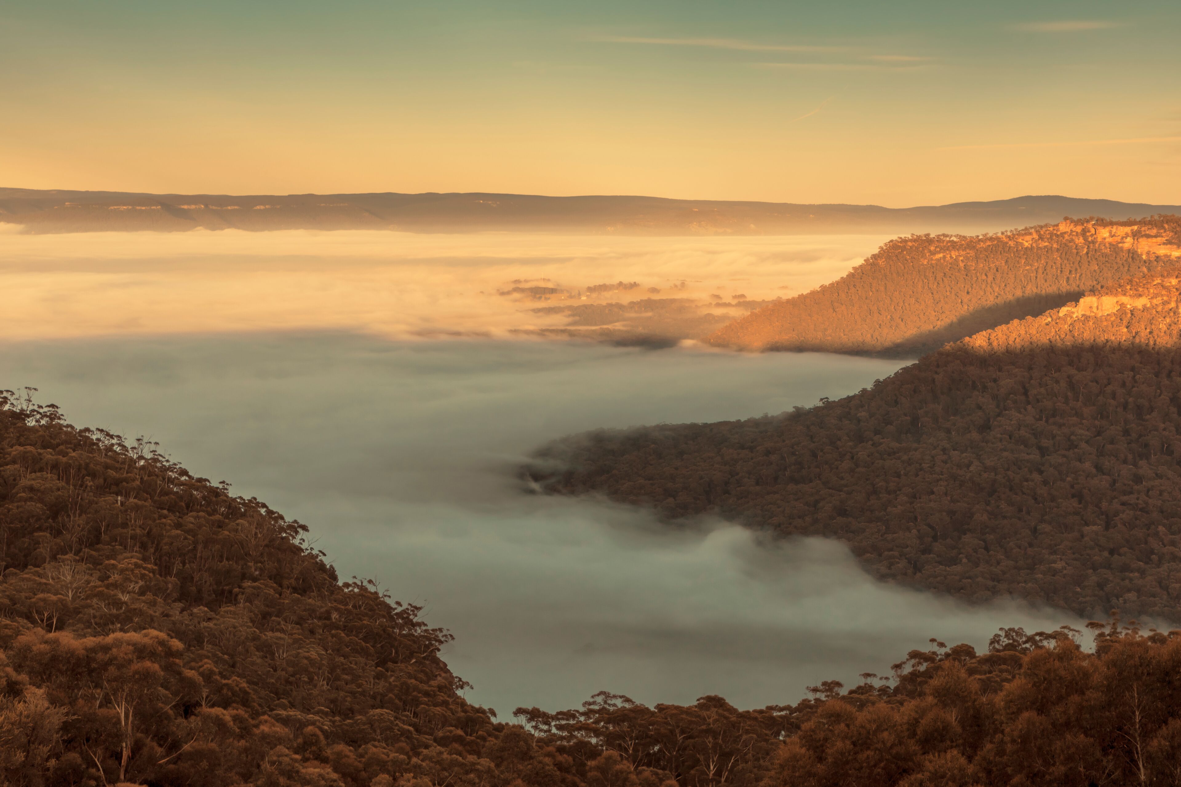 A valley with dense forest, mist-covered terrain, and a distant mountain range.