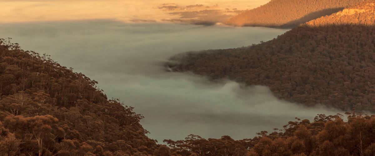 A valley with dense forest, mist-covered terrain, and a distant mountain range.