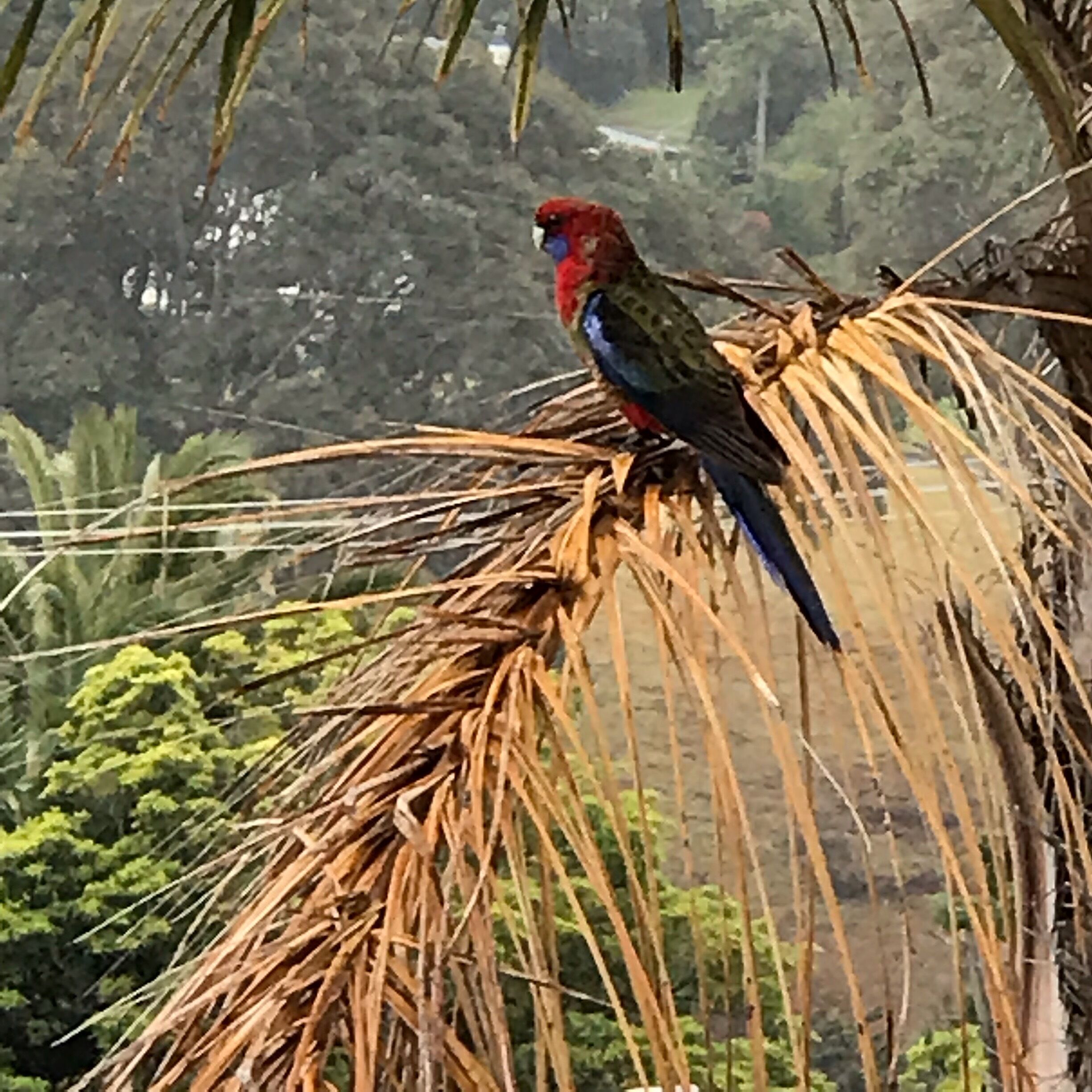 Amazing place to visit! Located on the Sapphire Coast in NSW. Narooma, Australia. Clear blue water!