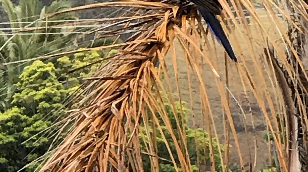 Amazing place to visit! Located on the Sapphire Coast in NSW. Narooma, Australia. Clear blue water!