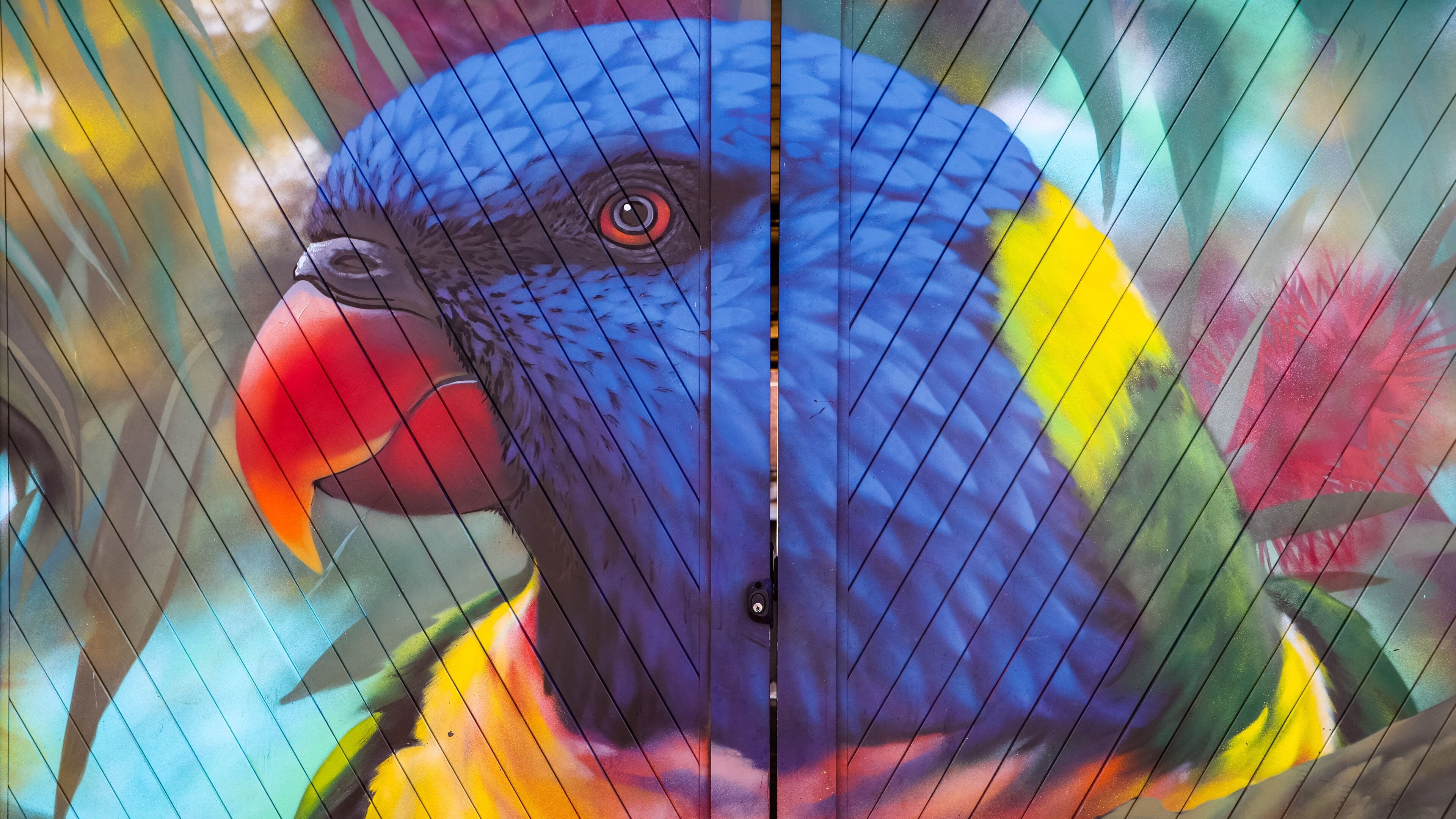 Nelson Bay which includes outdoor art