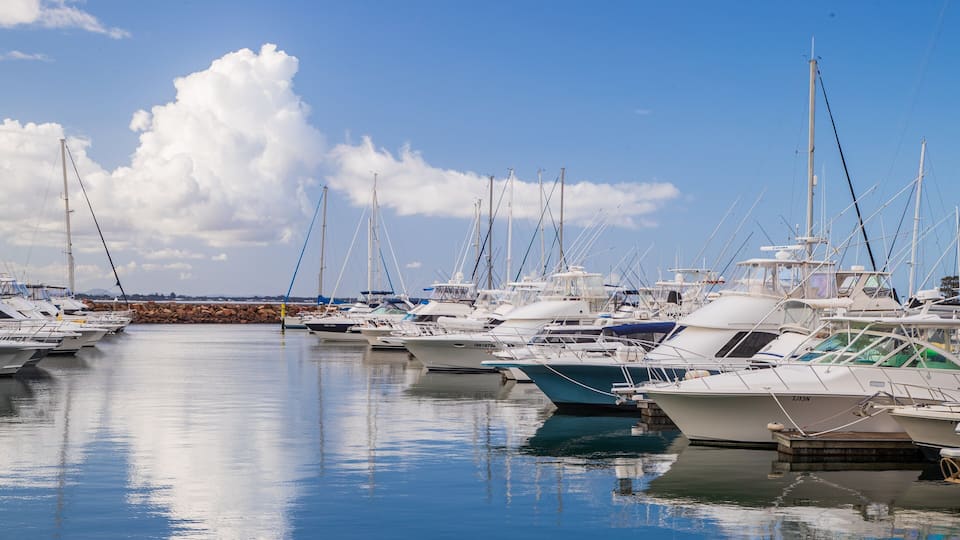 A marina with numerous boats docked under a clear sky.