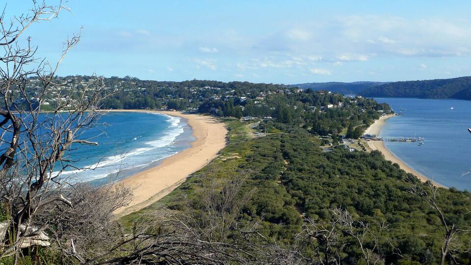 A coastal landscape with a sandy beach, dense forest, and a clear blue sea.