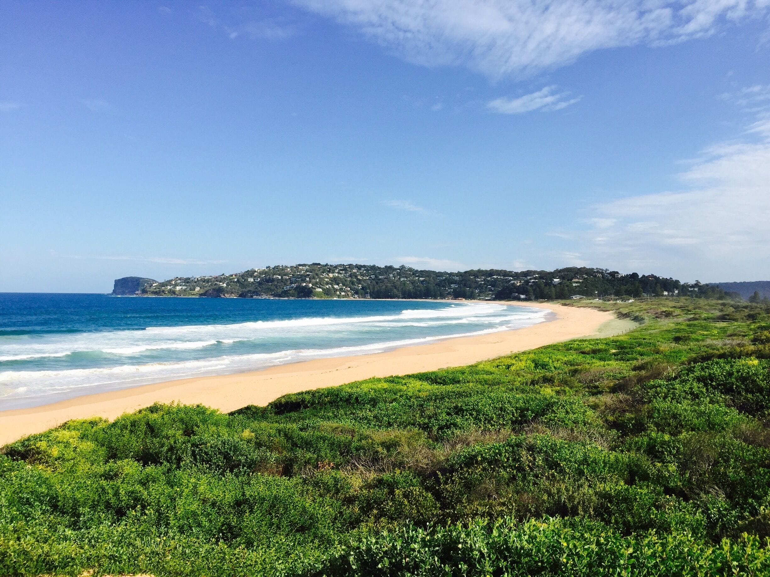 Palm Beach in Summer