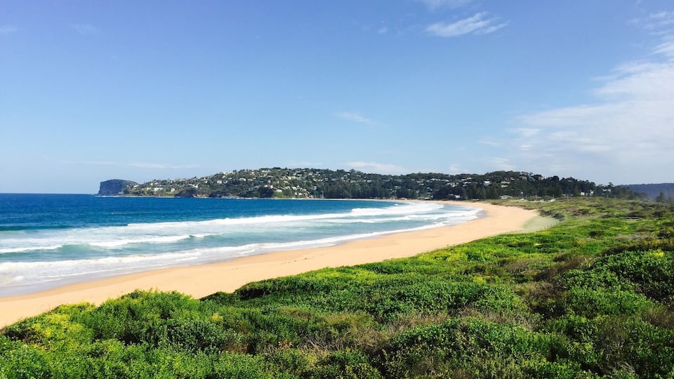 Palm Beach in Summer