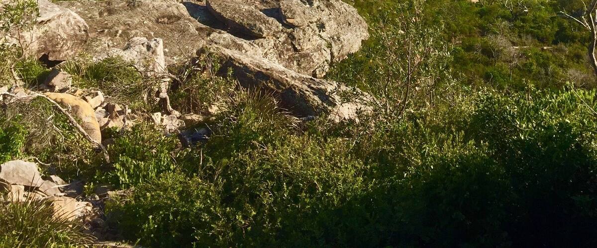 My first day trip of 2018 was back to Palm Beach. I love this place, there are so many spots to explore. This time I was a little more adventurous & went out on some of the smaller paths - this cliff is one of them. I could stare at that view all day.