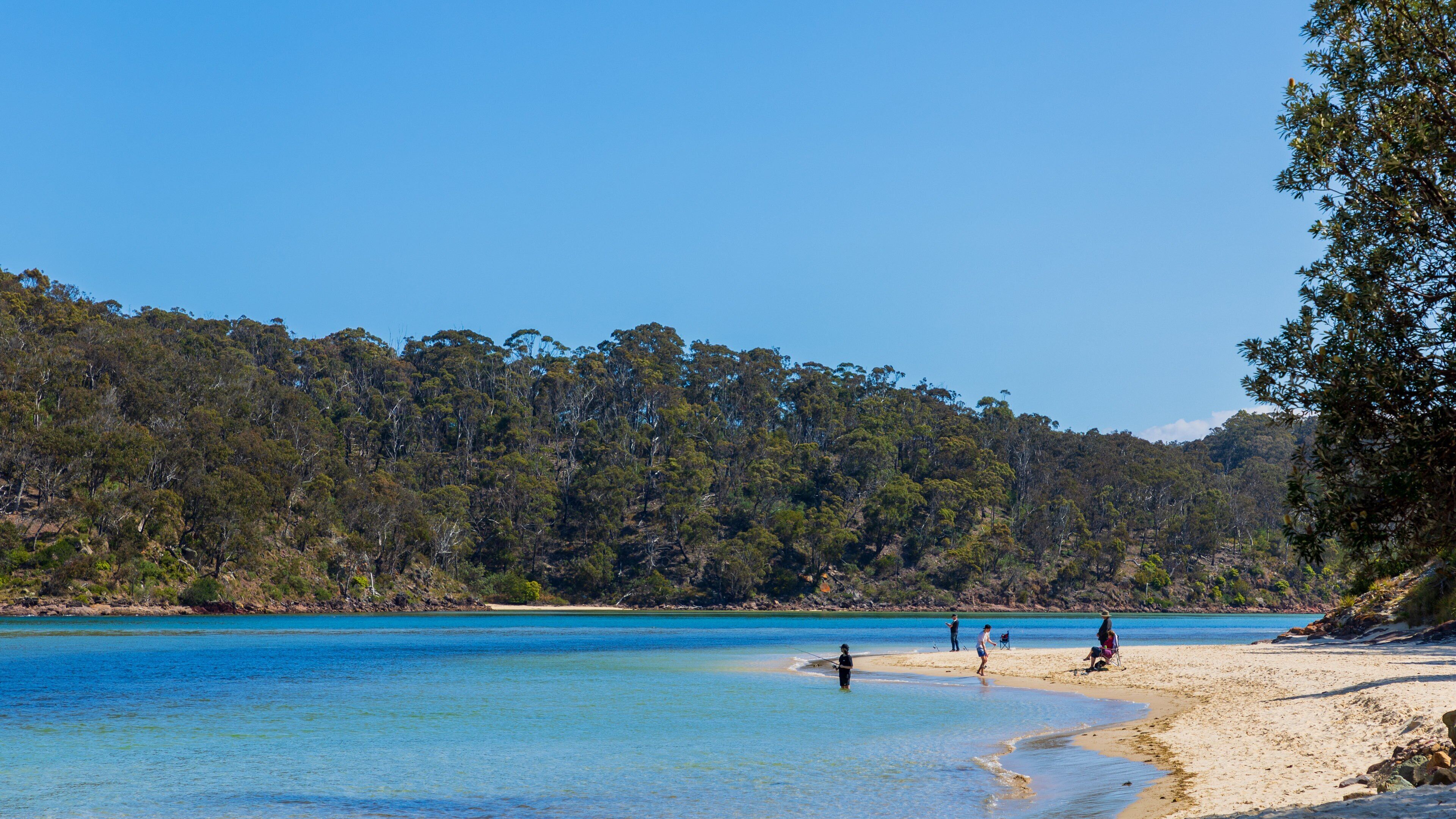 Pambula showing a river or creek and a beach