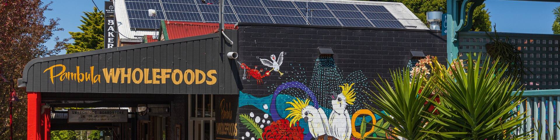 Pambula showing outdoor art and street scenes as well as an individual femail