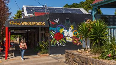 Pambula showing outdoor art and street scenes as well as an individual femail