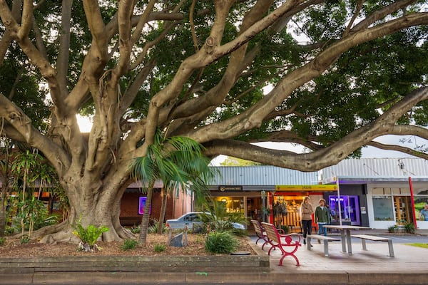 Sawtell featuring a small town or village