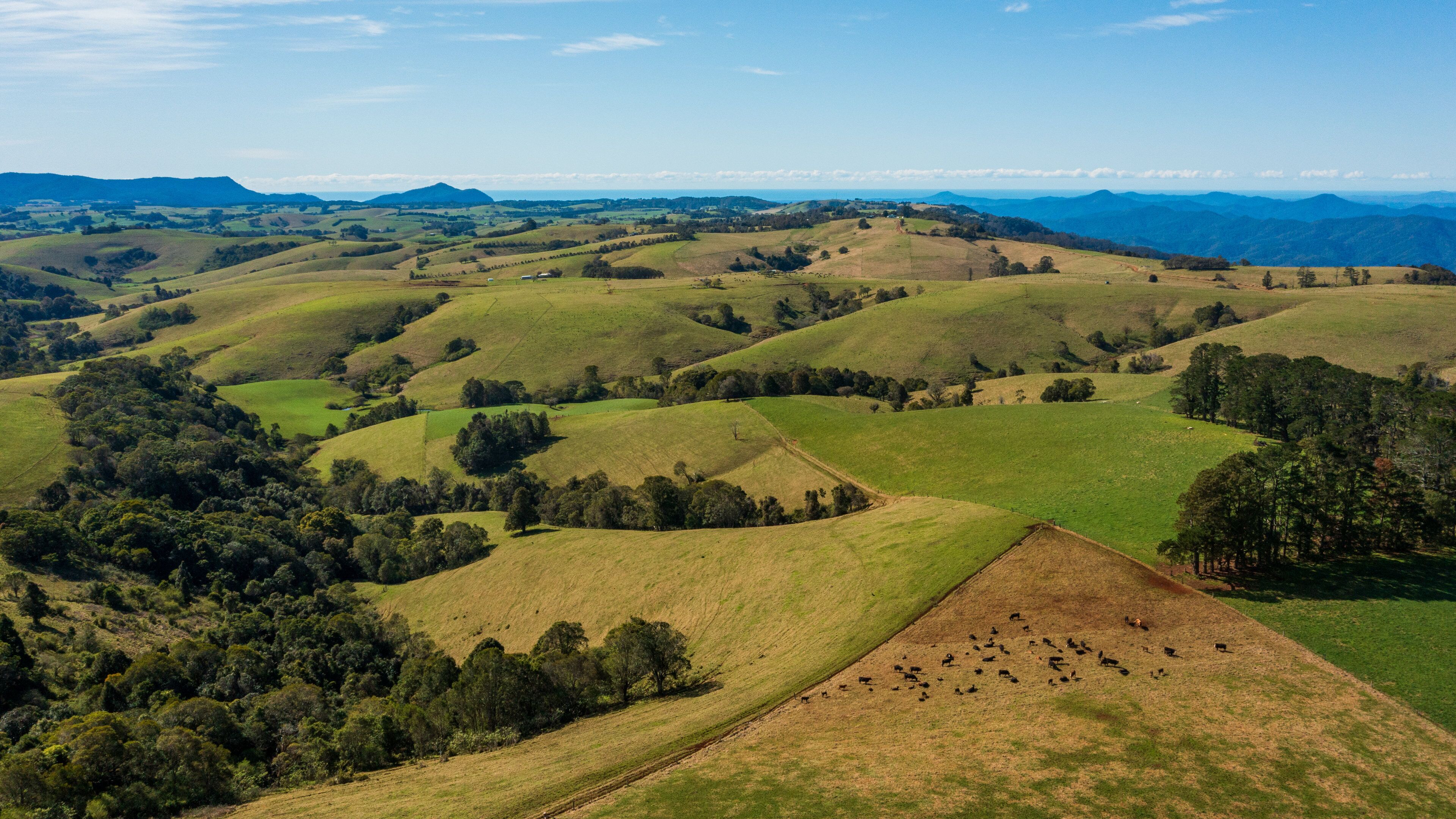 Sawtell featuring tranquil scenes and landscape views