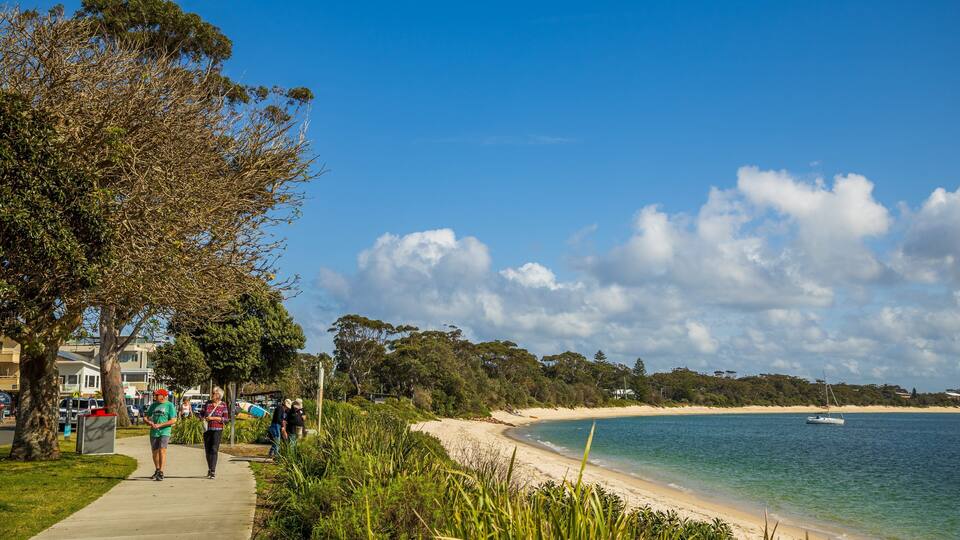 A coastal beach with a clear sky, a sandy shore, and a sailboat in the water.
