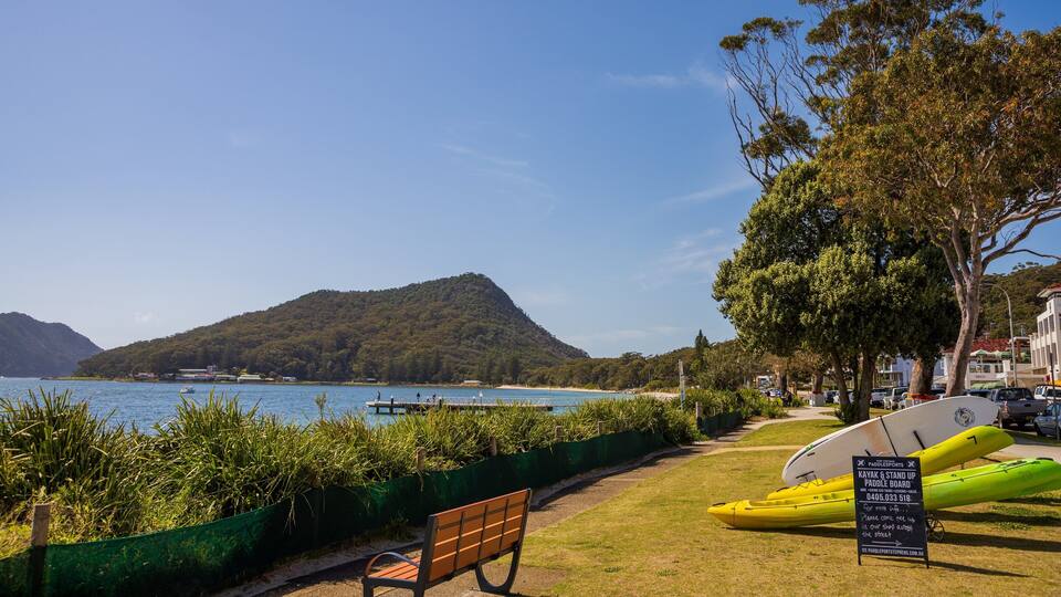 A lakeside view with a bench, paddleboards, and kayaks.