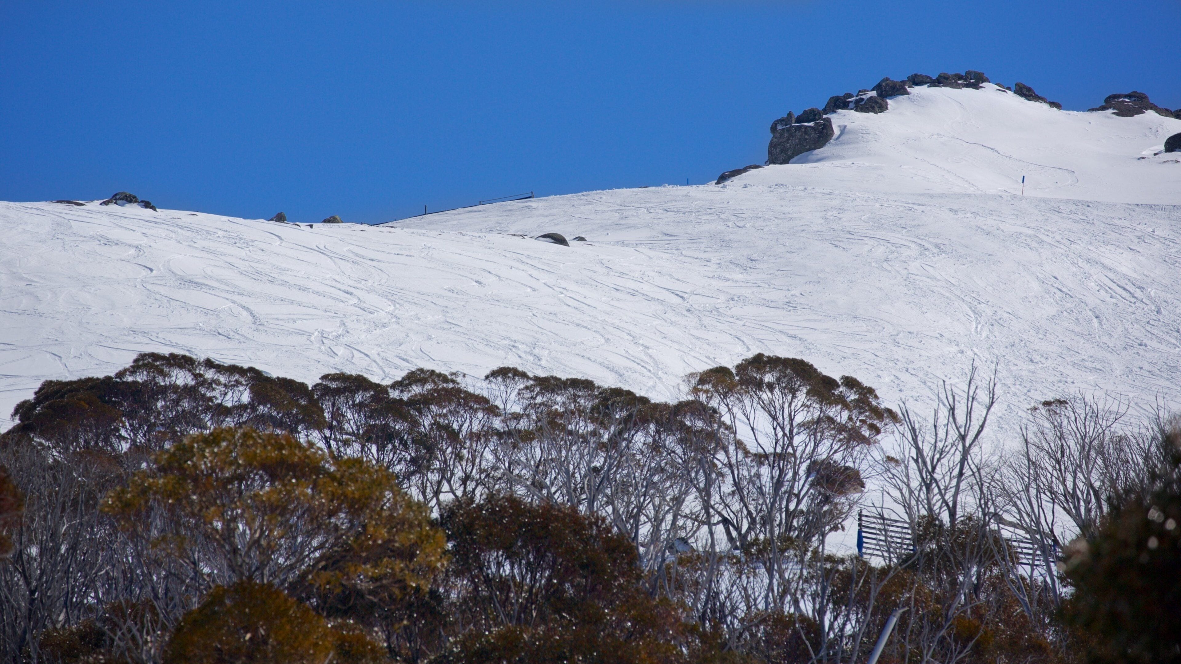 Thredbo featuring mountains and snow
