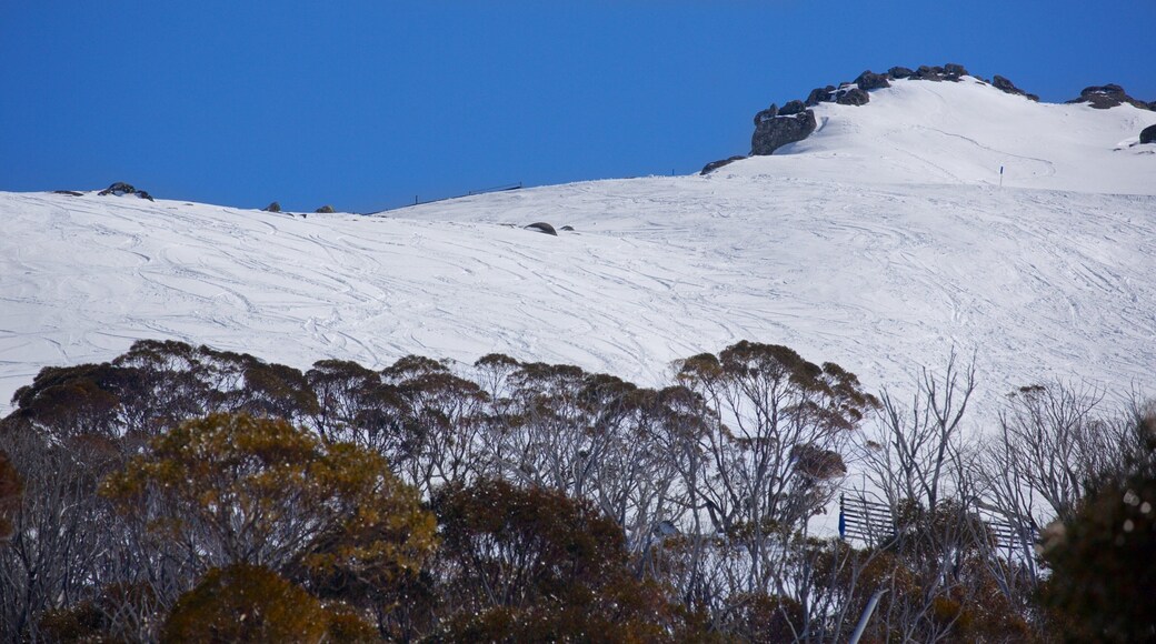 Thredbo featuring mountains and snow