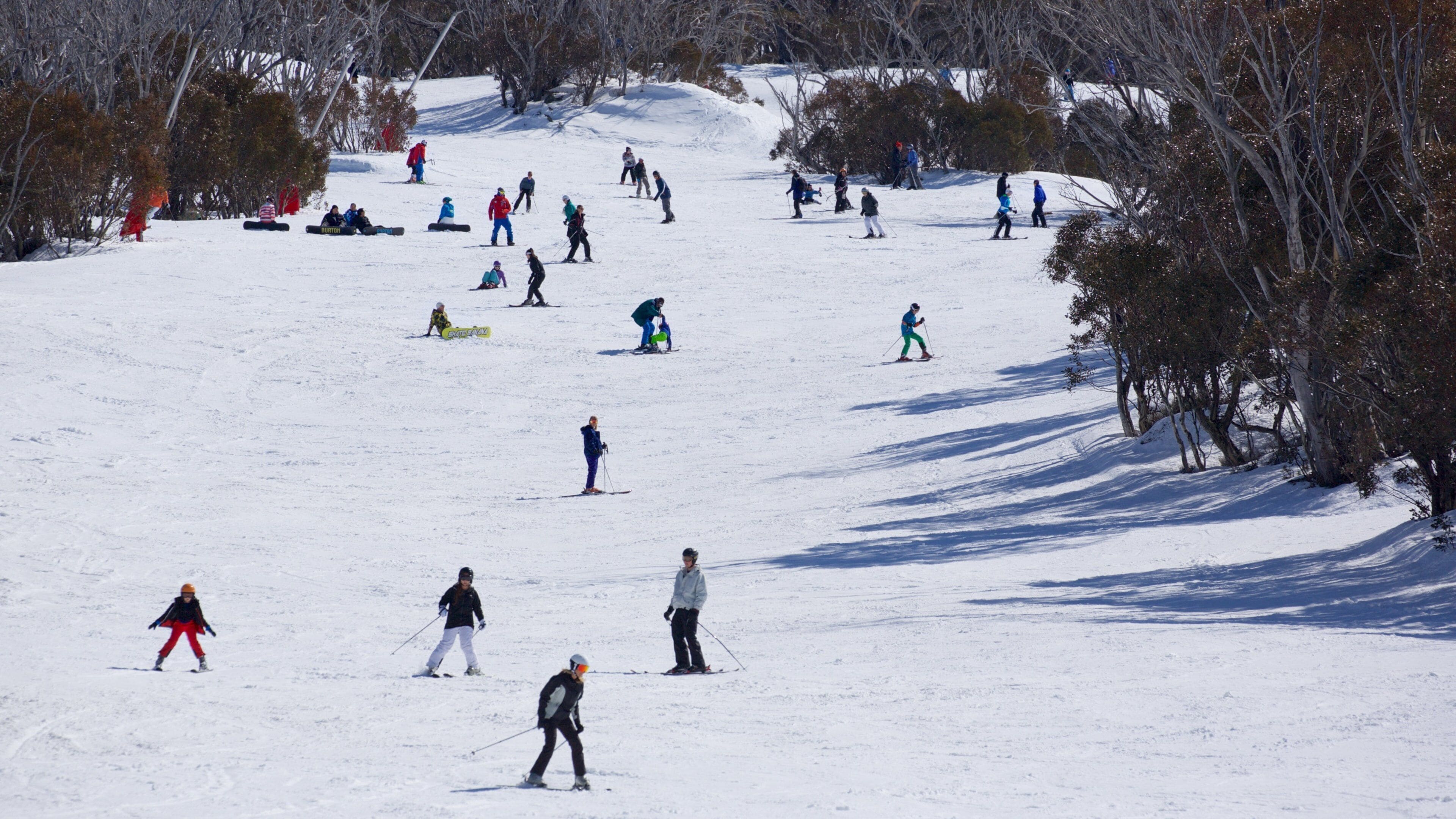 Thredbo showing snow and snow skiing as well as a large group of people