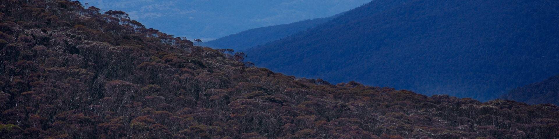Thredbo which includes mountains