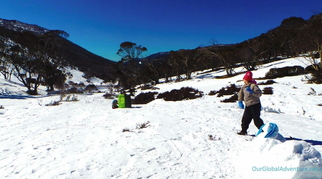 Just a few KMS from Thredbo, on the side of Mt Kosciusko is Dead Horse Gap. A great spot to stop and let the kids play on the Toboggan, without the expense of the resorts. For a simple day in the snow, this is a great choice for the NSW snow fields. #snow