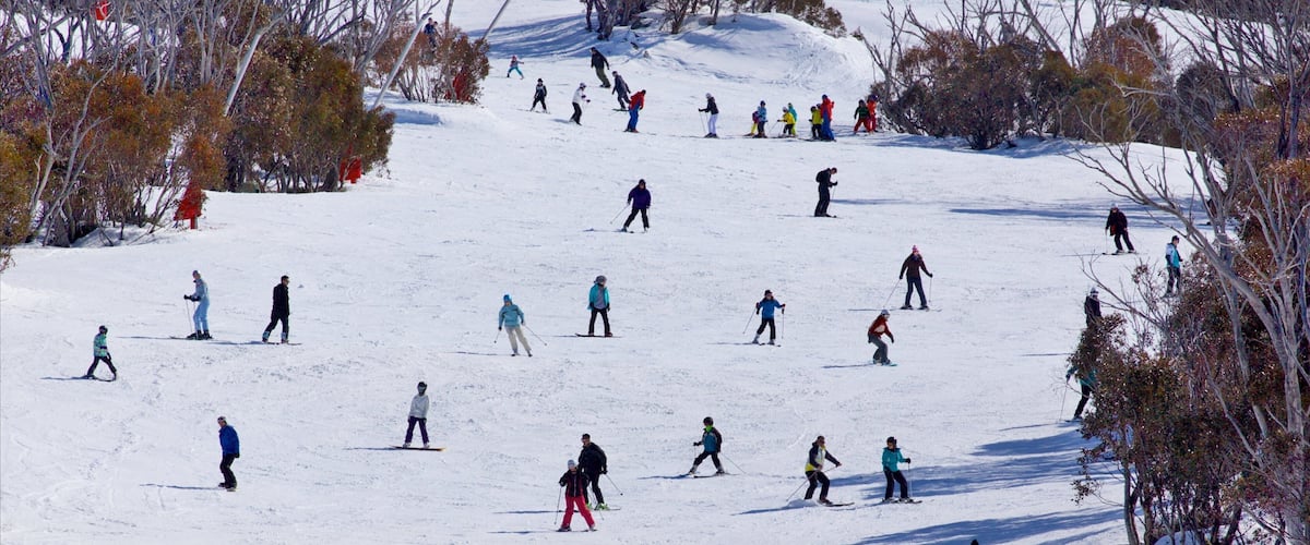 A snowy ski slope with skiers descending.